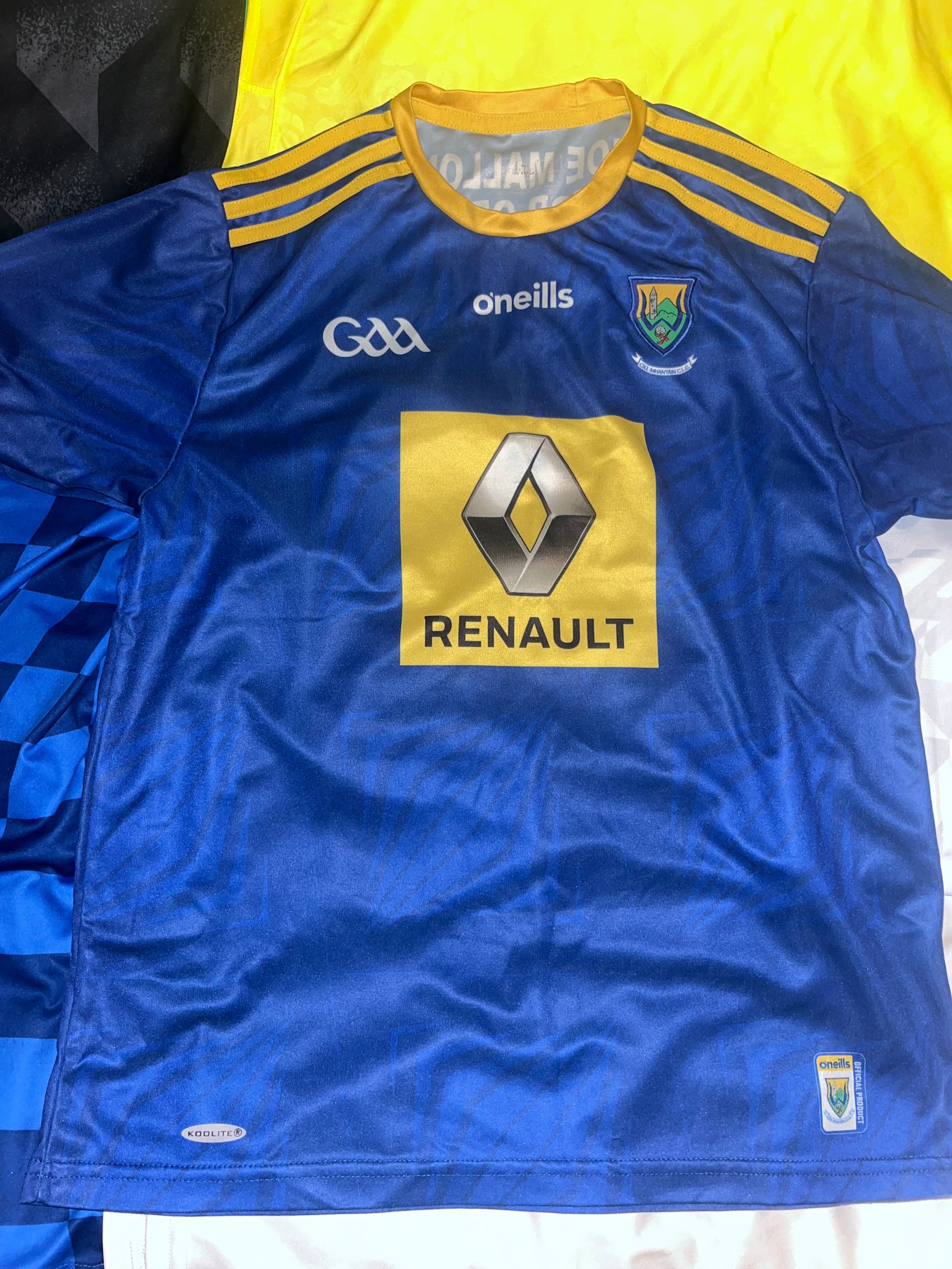 Wicklow GAA Jersey🇮🇪