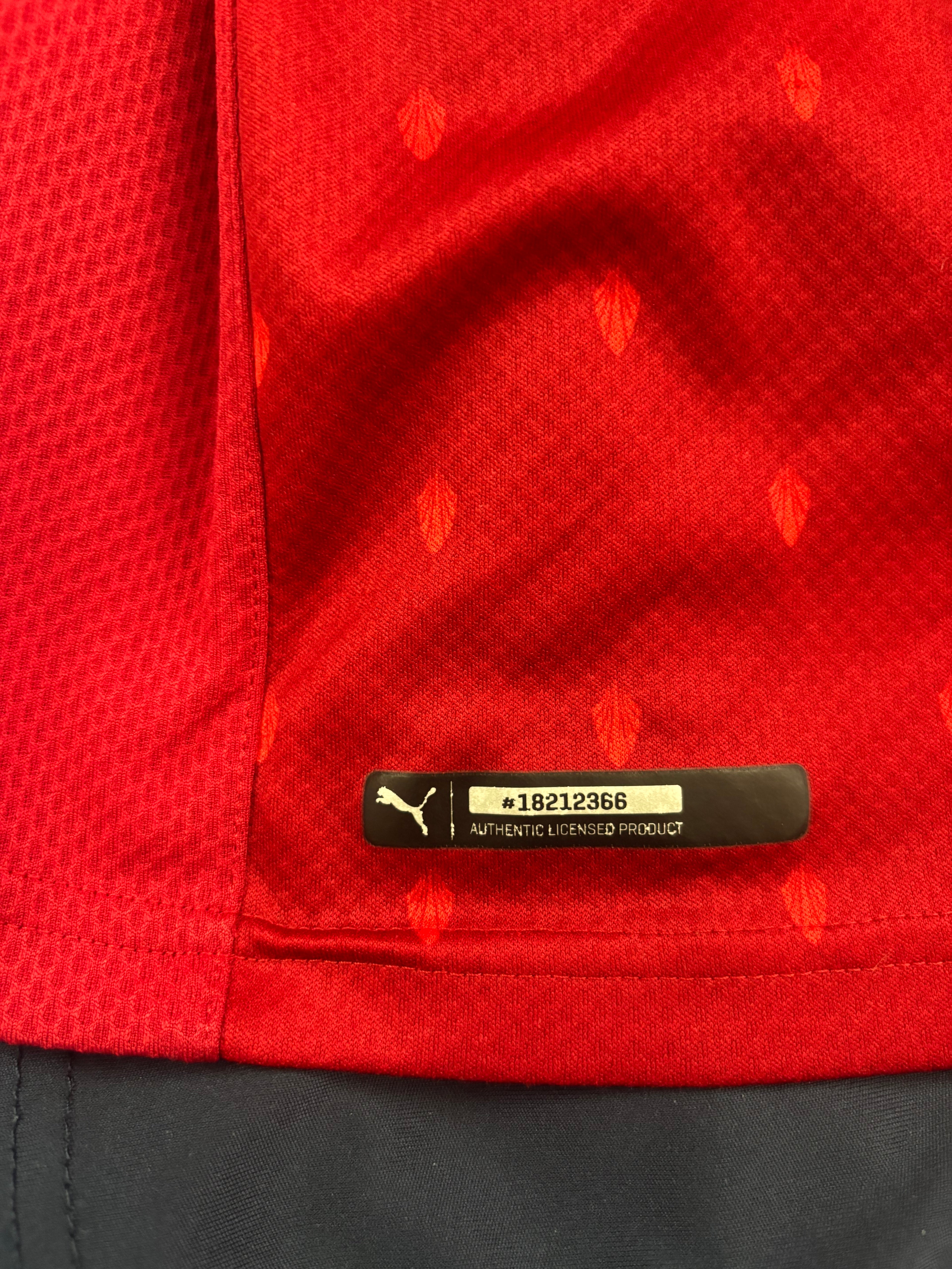 Austria 2020/21 Home Jersey🇦🇹