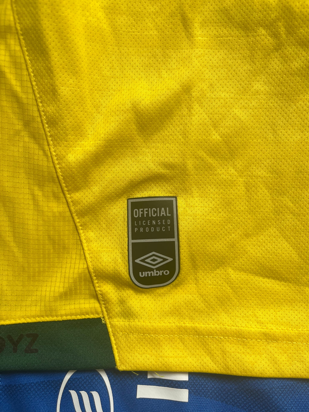 Jamaica 2021/22 Home Jersey🇯🇲