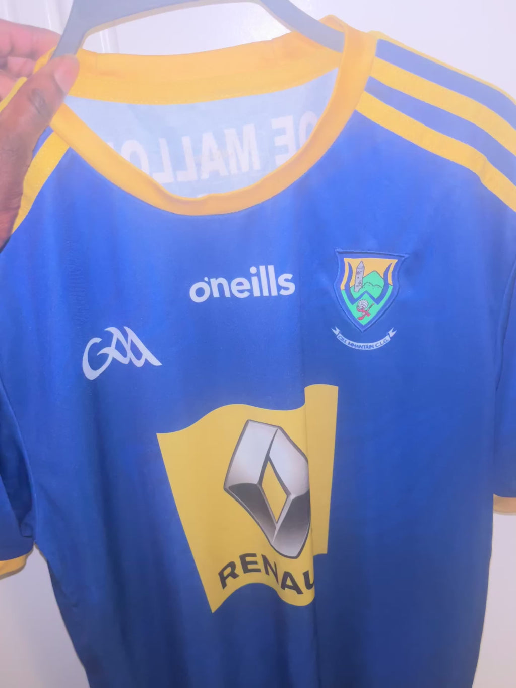 Wicklow GAA Jersey🇮🇪